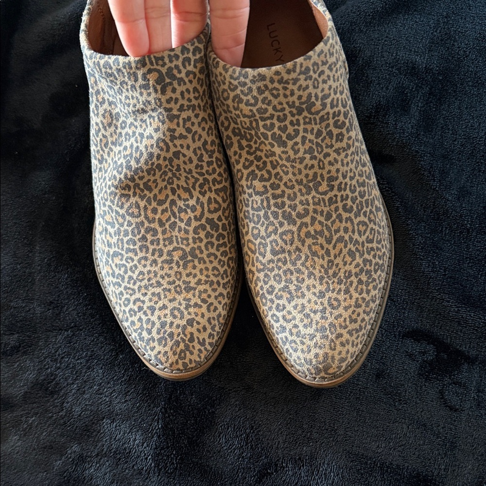 Lucky Brand Leopard Print Ankle Booties in Brown